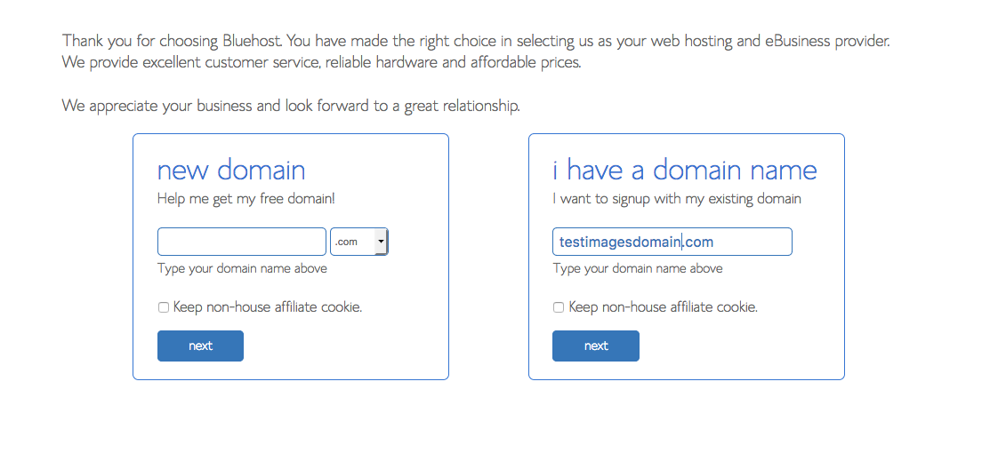 Bluehost new domain or existing domain