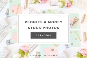 Peonies and Money Stock Photos