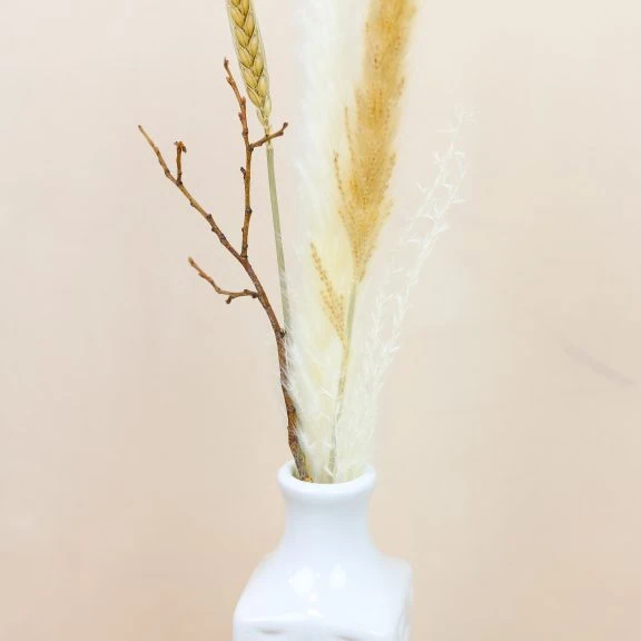 Pinterest vs. Instagram: Which Platform is Right for Your Business?