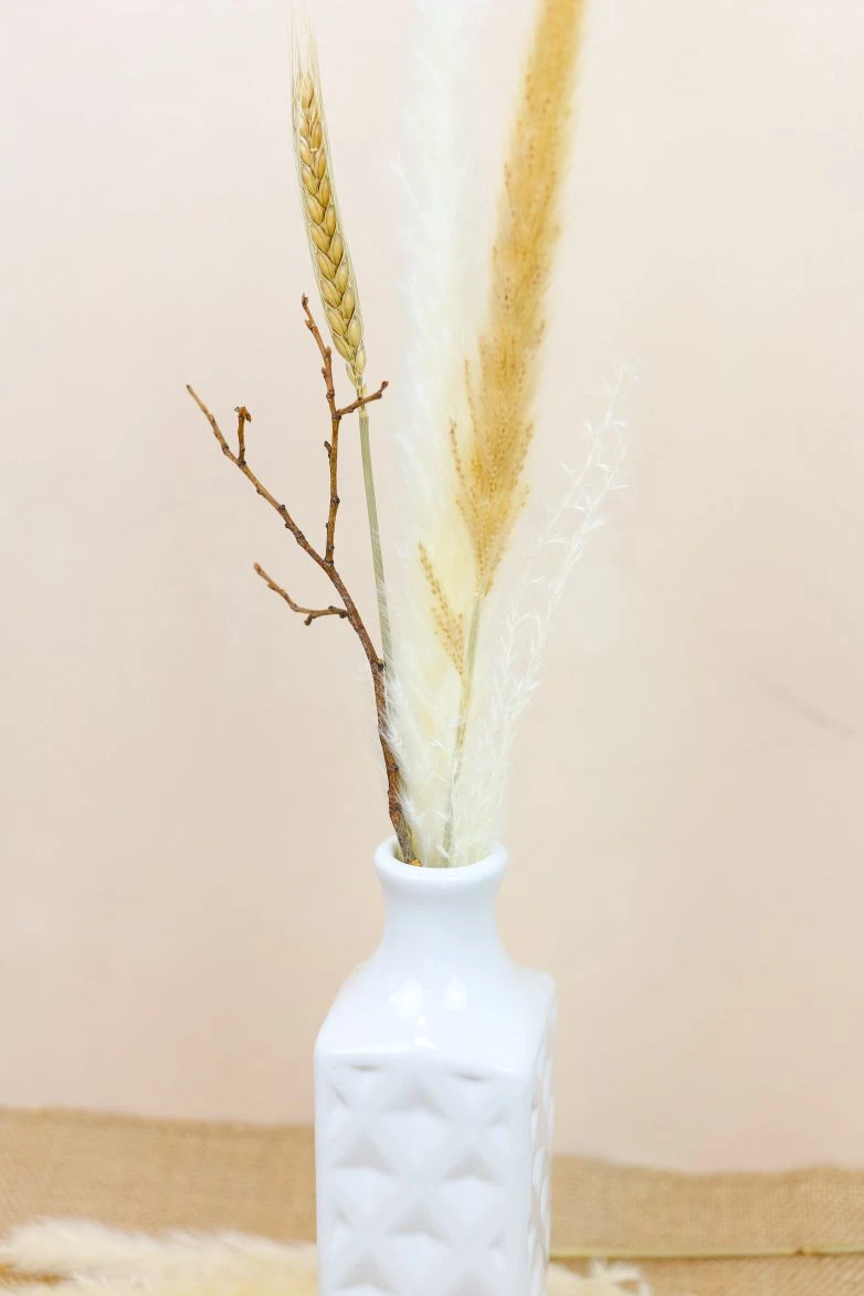 Pinterest vs. Instagram: Which Platform is Right for Your Business?