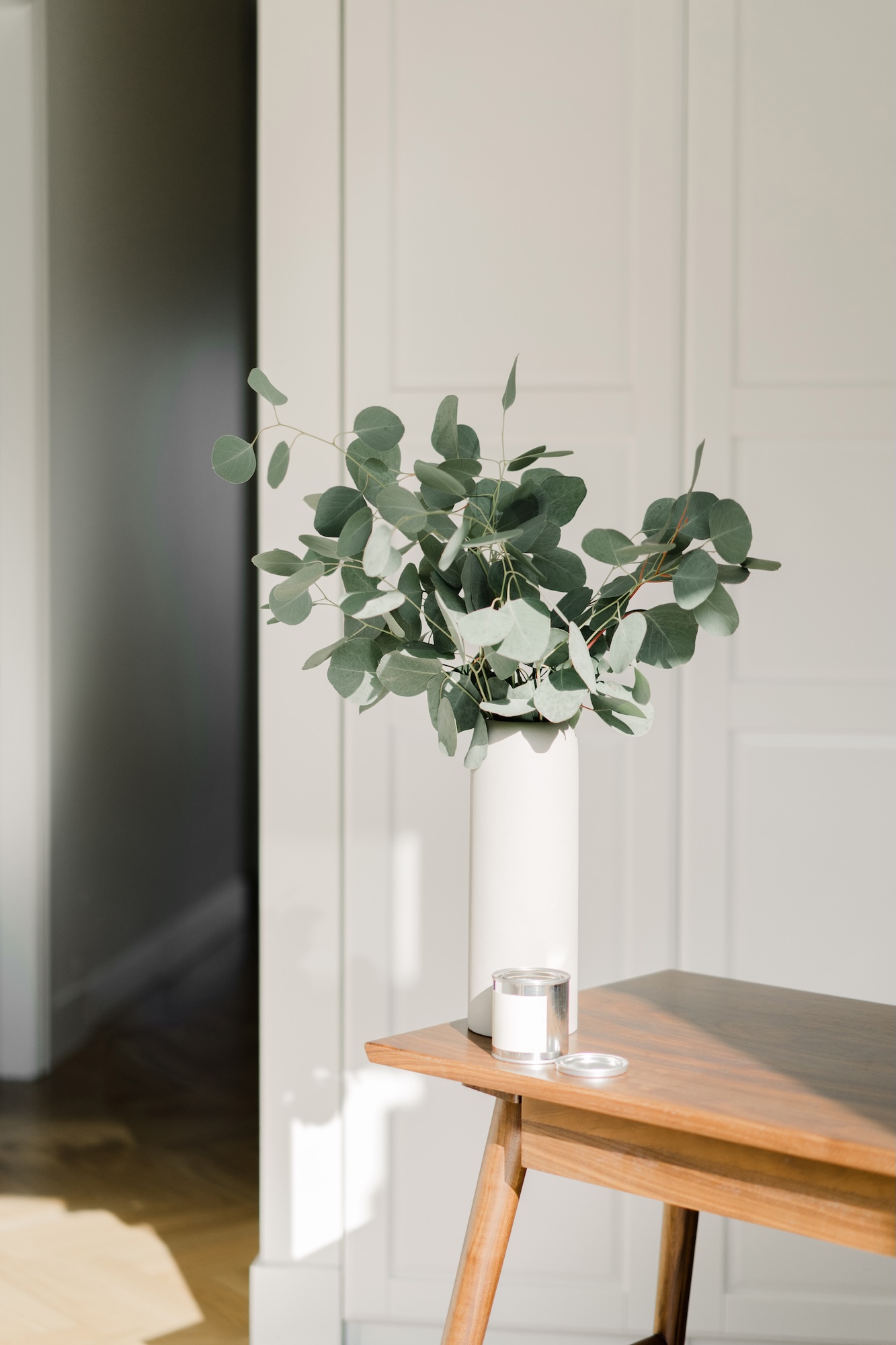 Green plant on table