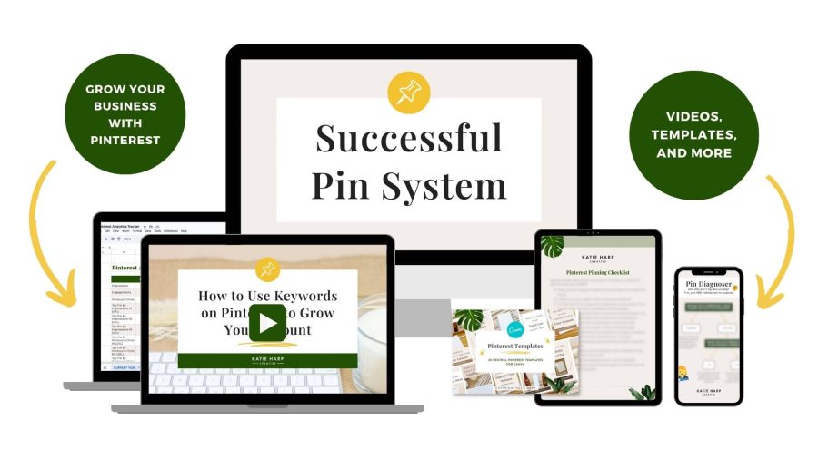 Successful Pin System